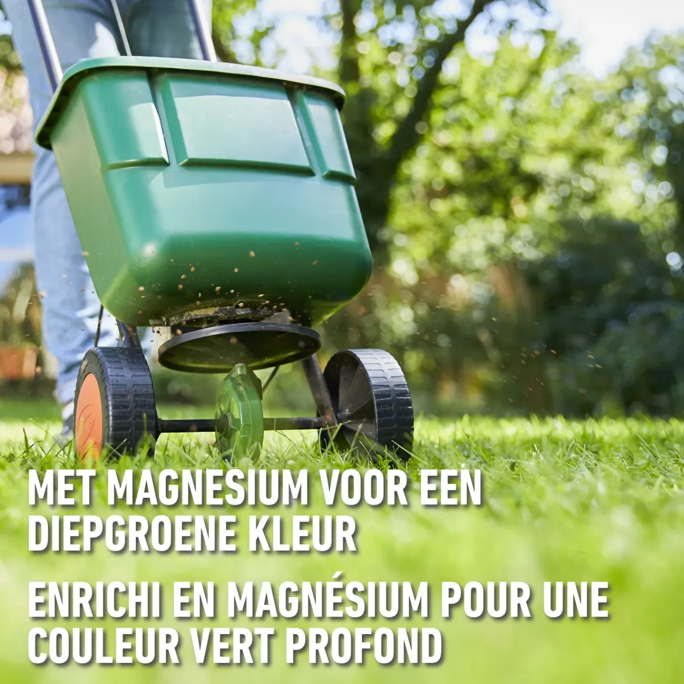 Compo gazonmeststof Budget (250 m²) 22kg