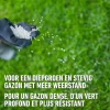 Compo gazonmeststof Lange Werking 1,5kg - 60m²