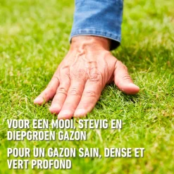 Compo gazonmeststof plus 10kg