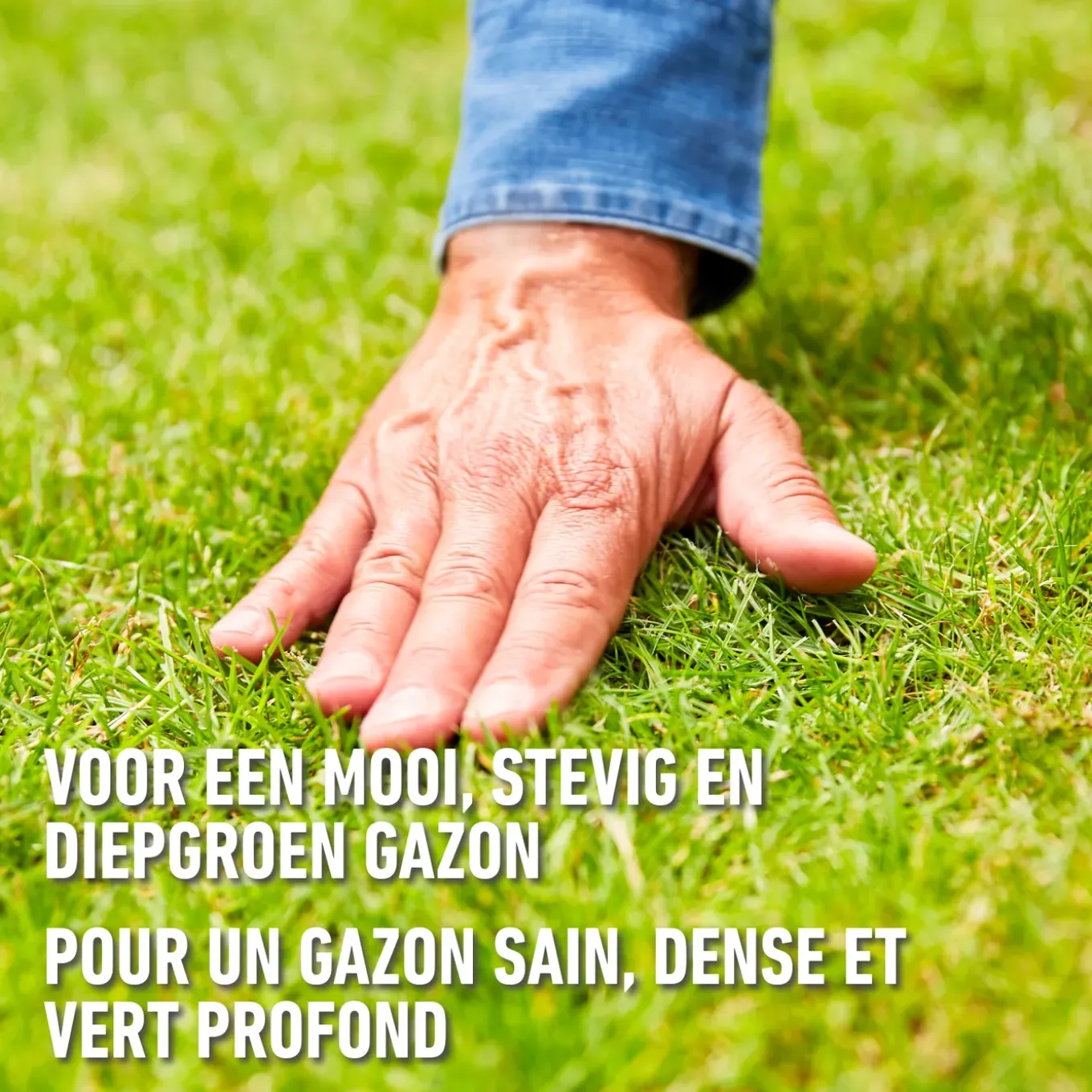 Compo gazonmeststof plus 10kg