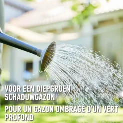Compo gazonzaad After Moss 50m² 1kg