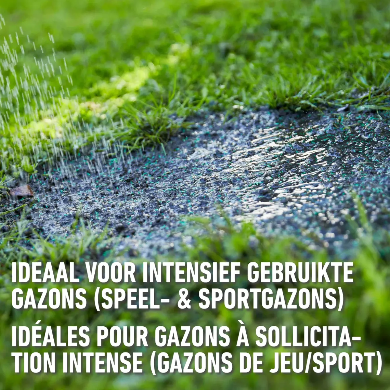 Compo gazonzaad Sport & Spel 50m² 1kg