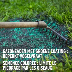 Compo gazonzaad Sport & Spel 50m² 1kg