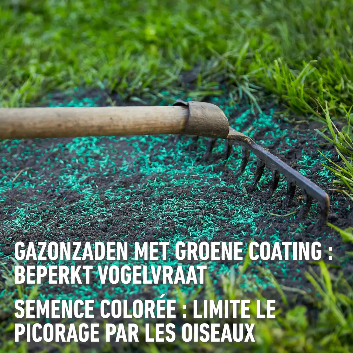 Compo gazonzaad Sport & Spel 50m² 1kg