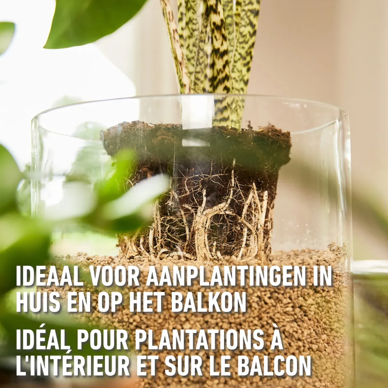 Compo granuplant indoor plantgranulaat 3L