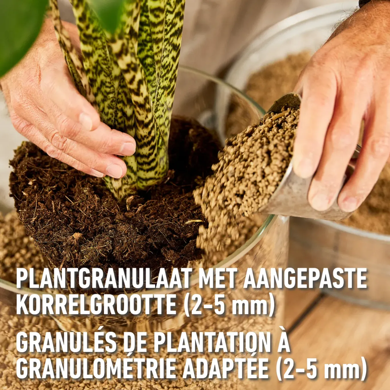 Compo granuplant indoor plantgranulaat 3L