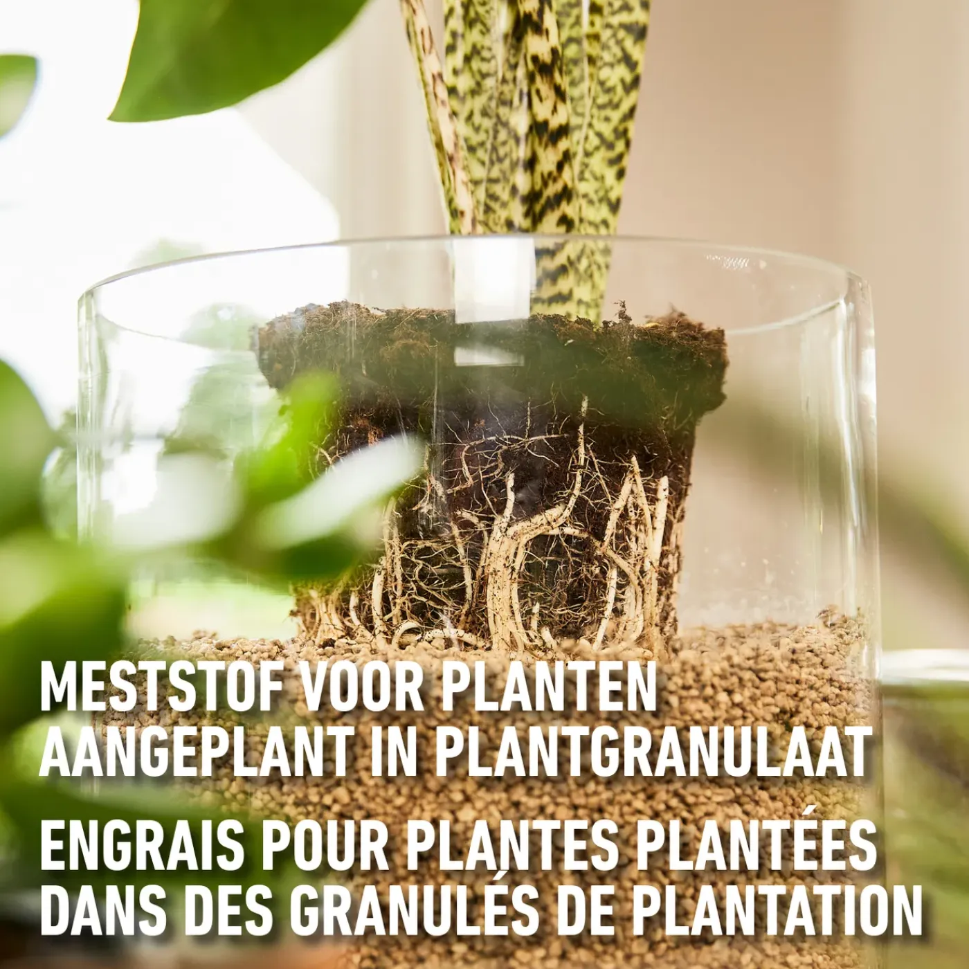 Compo Granuplant plantenvoeding 500ml