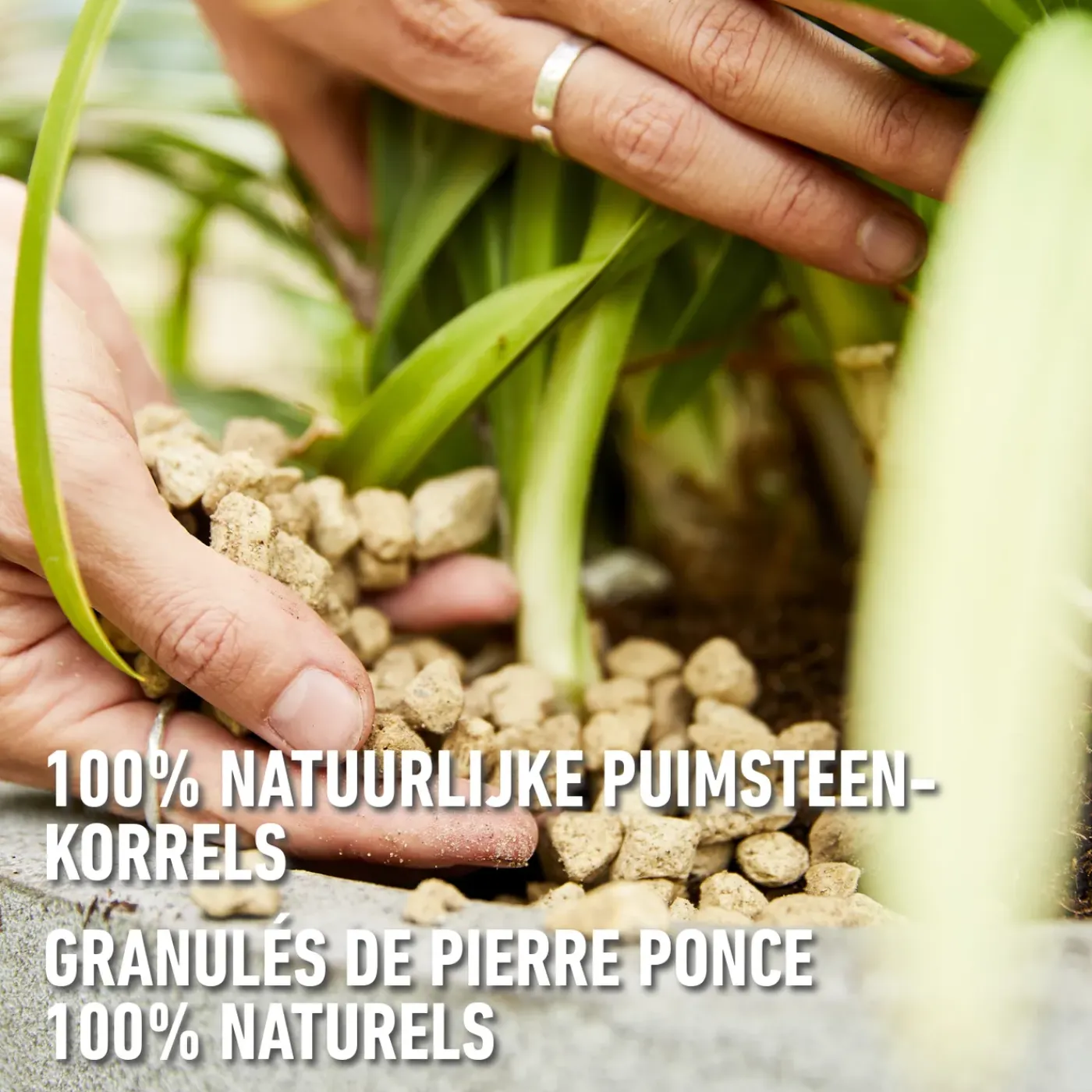 Compo Granuplant Puimsteen 40L