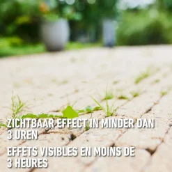 Compo Herbistop voor Paden & Terrassen Spray - 750ml voor 7,5m²