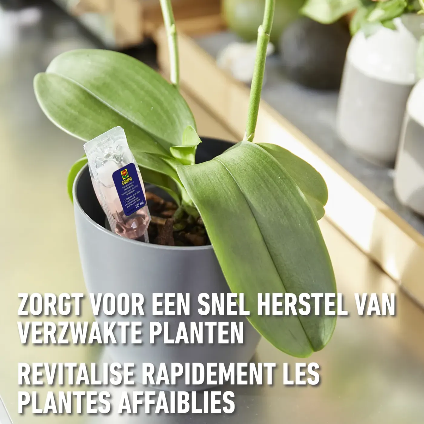 Compo herstelkuur Orchideeën 150ml