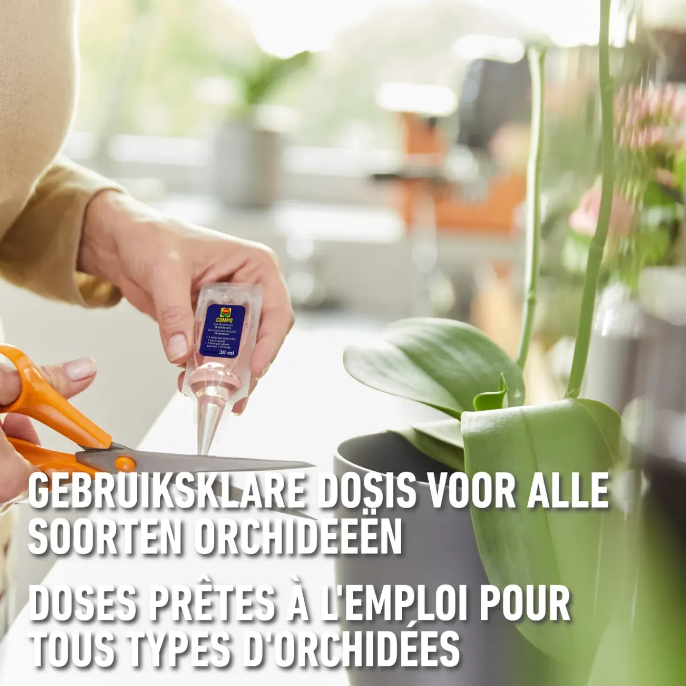 Compo herstelkuur Orchideeën 150ml