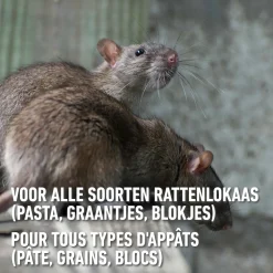 Compo Radikal Voederdoos - Tegen Ratten - 1 stuk