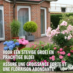 Compo Roze Korrels 1kg