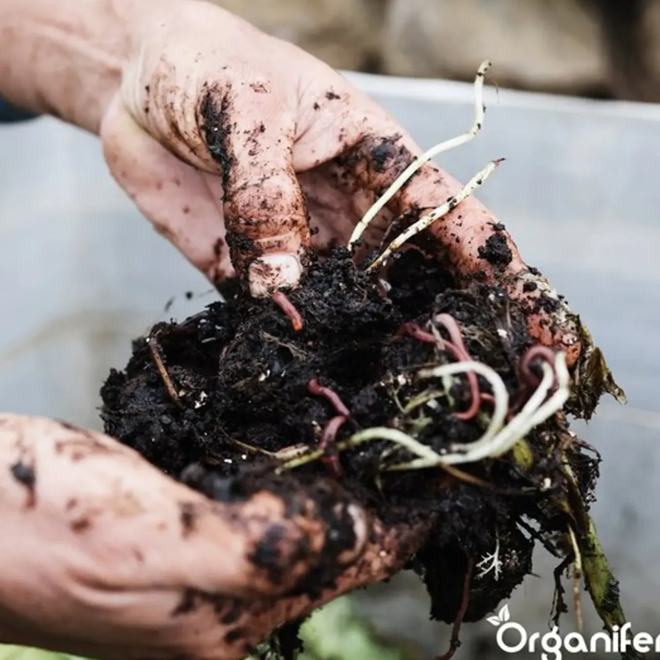 Compostversneller Voor Hoogwaardige Compost In Minder Tijd - 10 Kg / 50-200 M² Of 10 M³ - Organifer