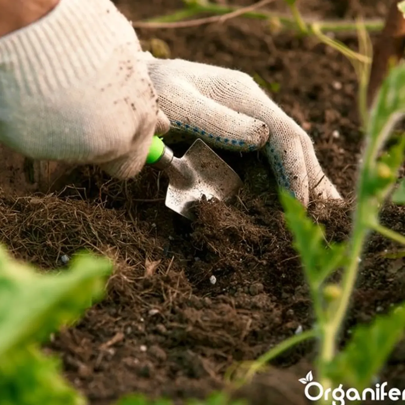 Compostversneller Voor Hoogwaardige Compost In Minder Tijd - 10 Kg / 50-200 M² Of 10 M³ - Organifer