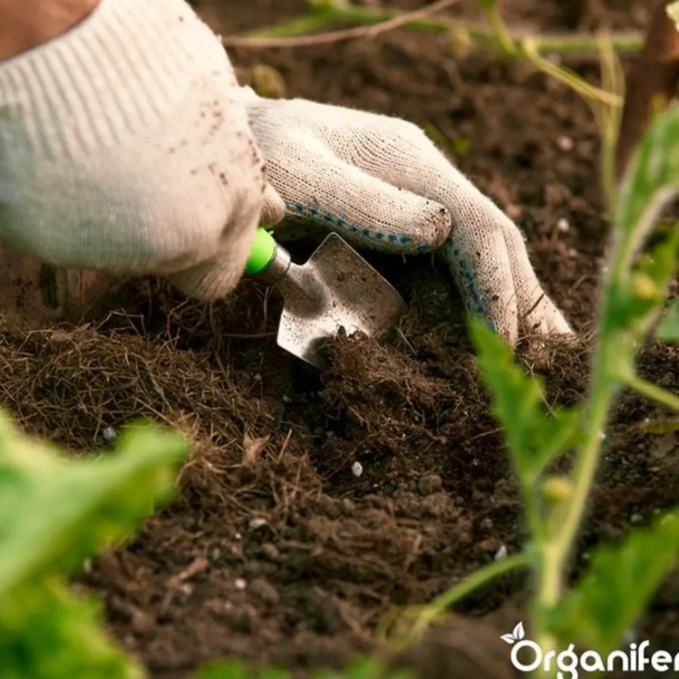 Organifer Compostversneller Voor Hoogwaardige Compost In Minder Tijd - 5 Kg / 25-100 M² Of 5 M³ -