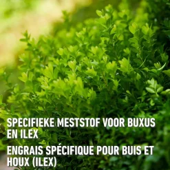Compo vloeibare meststof Buxus 1L