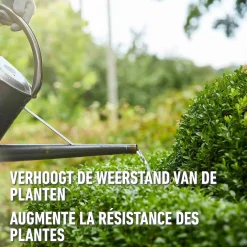 Compo vloeibare meststof Buxus 1L