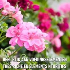 Compo vloeibare meststof Geraniums & Balkonplanten 1L