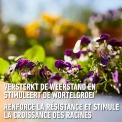Compo vloeibare meststof Geraniums & Balkonplanten 500ml