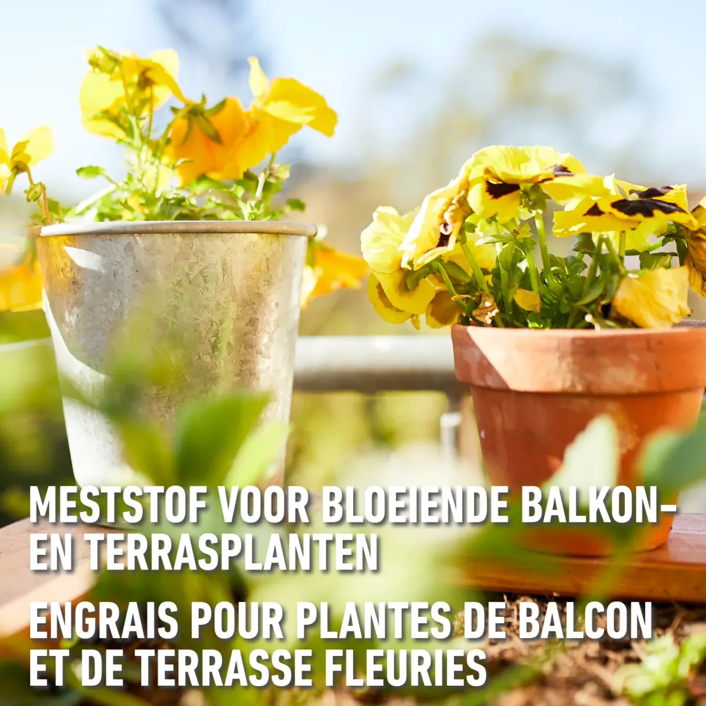 Compo vloeibare meststof Geraniums & Balkonplanten 500ml