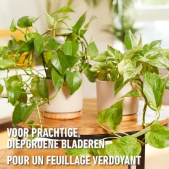 Compo vloeibare meststof kamerplanten & palmen 1L