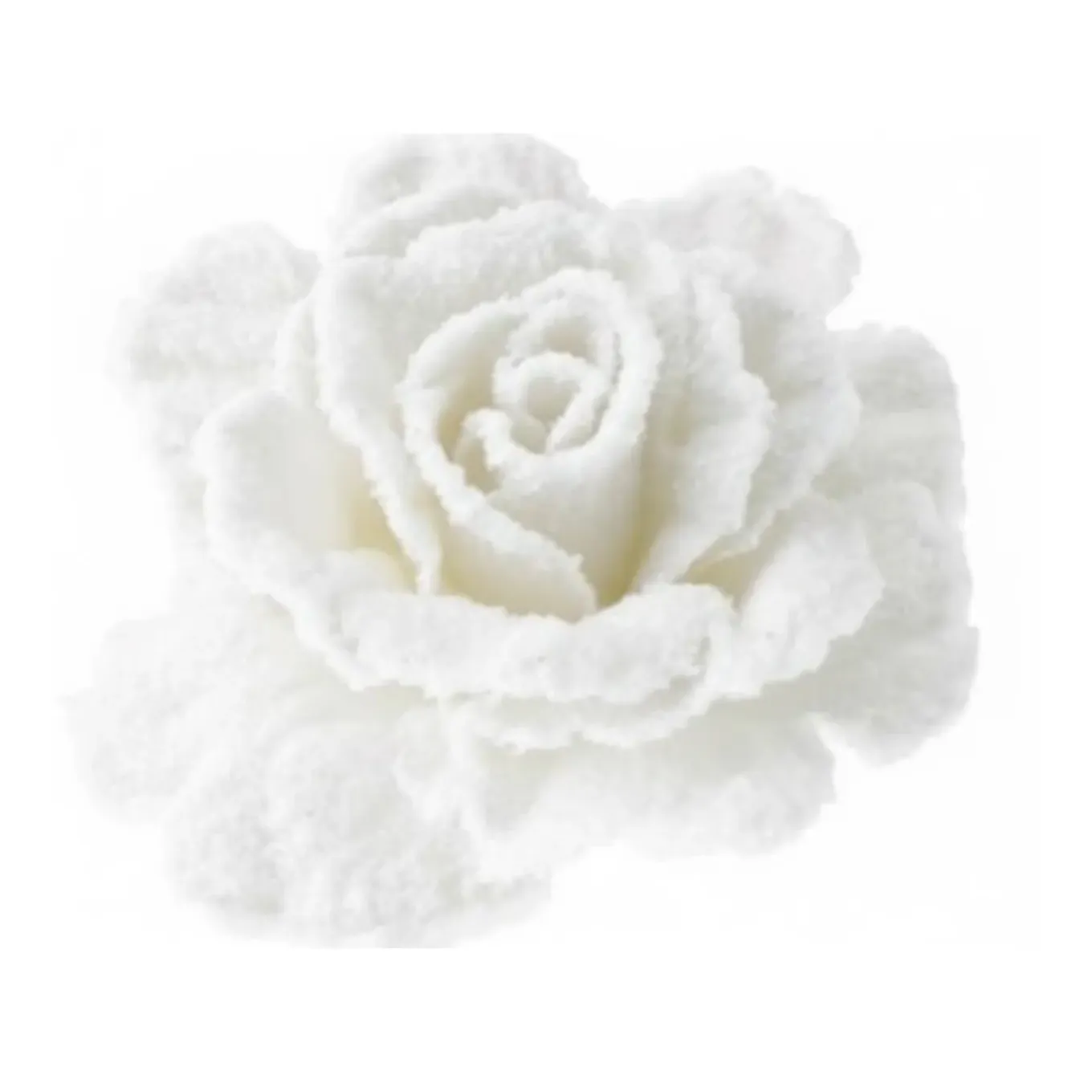 Cosy & Trendy Kersthanger - Bloem - Op Clip - Wit - Roos - 15 Cm