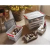 Curver Handy- Kerstbox Met Tussenkarton - Transparant/Grijs/Rood - 65l