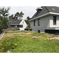 Dakvergroeners Lichtgewichtsysteem 34 m² incl. dakgrind