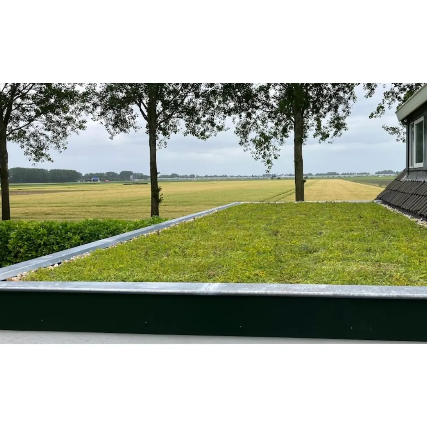Dakvergroeners Lichtgewichtsysteem 34 m² incl. dakgrind