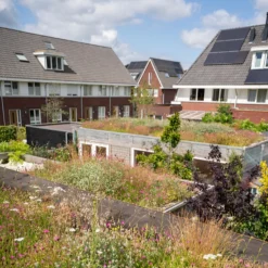 Dakvergroeners Sedum Kruidentray 19 m² incl. dakgrind