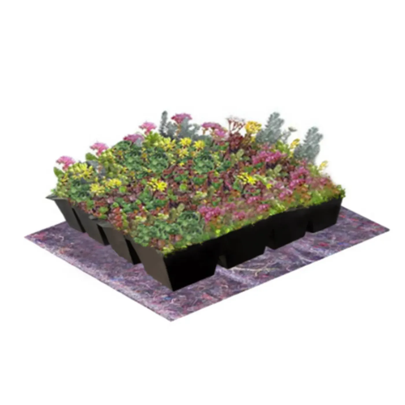 Dakvergroeners Sedum Kruidentray 23 m² incl. dakgrind