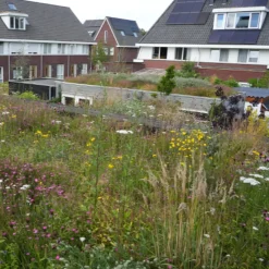 Dakvergroeners Sedum Kruidentray 25 m² incl. dakgrind
