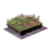 Dakvergroeners Sedum Kruidentray 26 m² incl. dakgrind