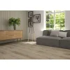 DecoMode – Praxis Eigen Merk Decomode PVC Vloer Klikvinyl Dynamic Fresh Oak - 4-zijdige micro V-groef - 2,196m²