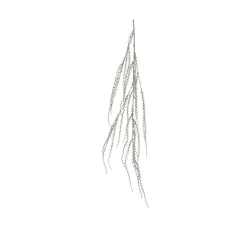 Decoris Kerstornament Spray Plastic - Champagne - 140x6x20cm