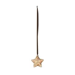 Decoris Micro Led Ster - 15 LED's - Warm Wit - 20cm - Binnen - Goud