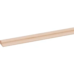 Overig Decorlijst - Grenen - Onbehandeld - 9x22mm - 270cm