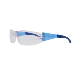 Dexter Veiligheidsbril - Blauw - Eén maat - EN ISO 16321-1