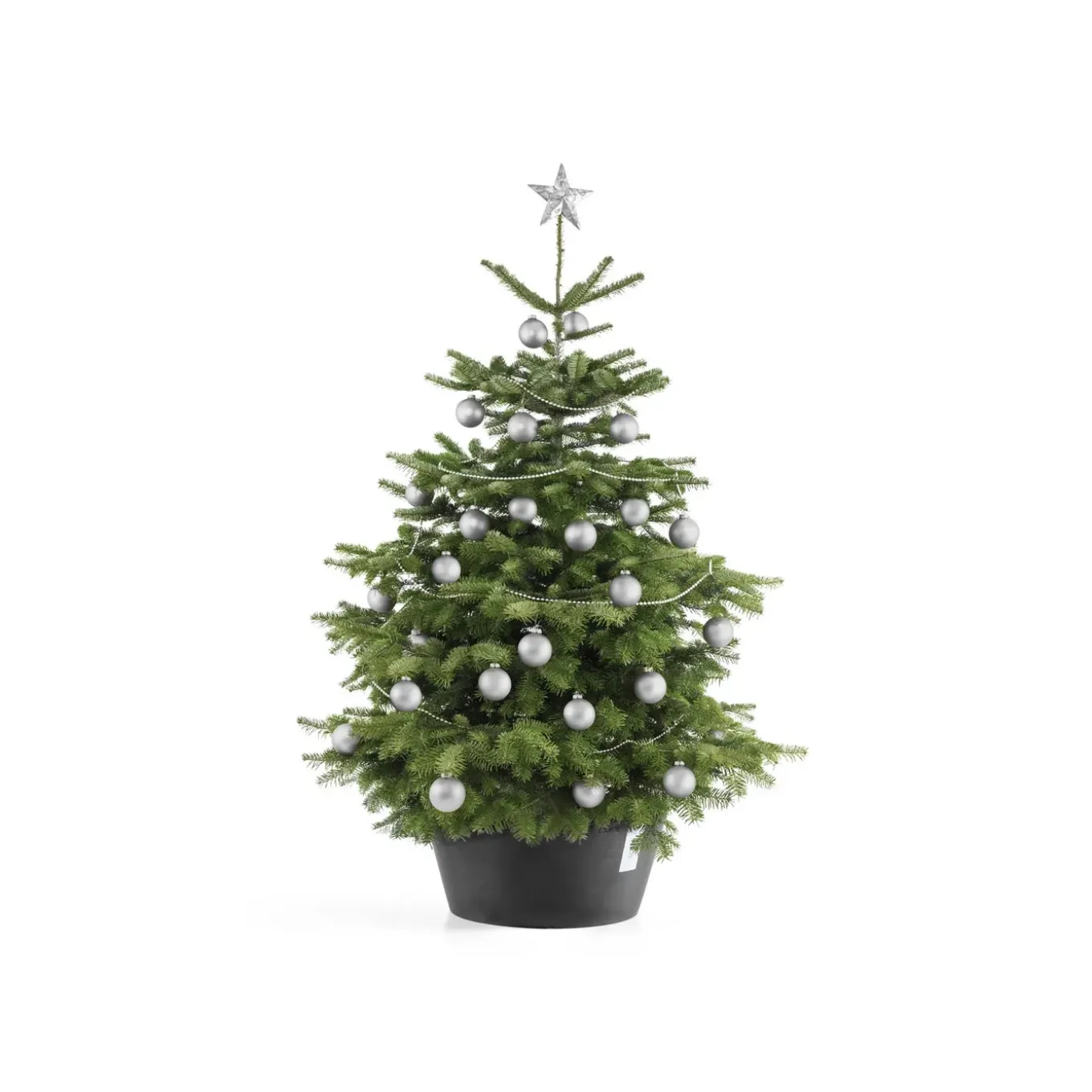 Ecopots Kerstboomvoet Xl - Donkergrijs - Geschikt Voor Bomen Tot 300 Cm - Met Waterreservoir