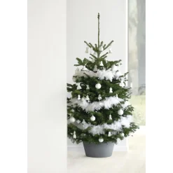 Ecopots Kerstboomvoet Xl - Grijs - Geschikt Voor Bomen Tot 300 Cm - Met Waterreservoir