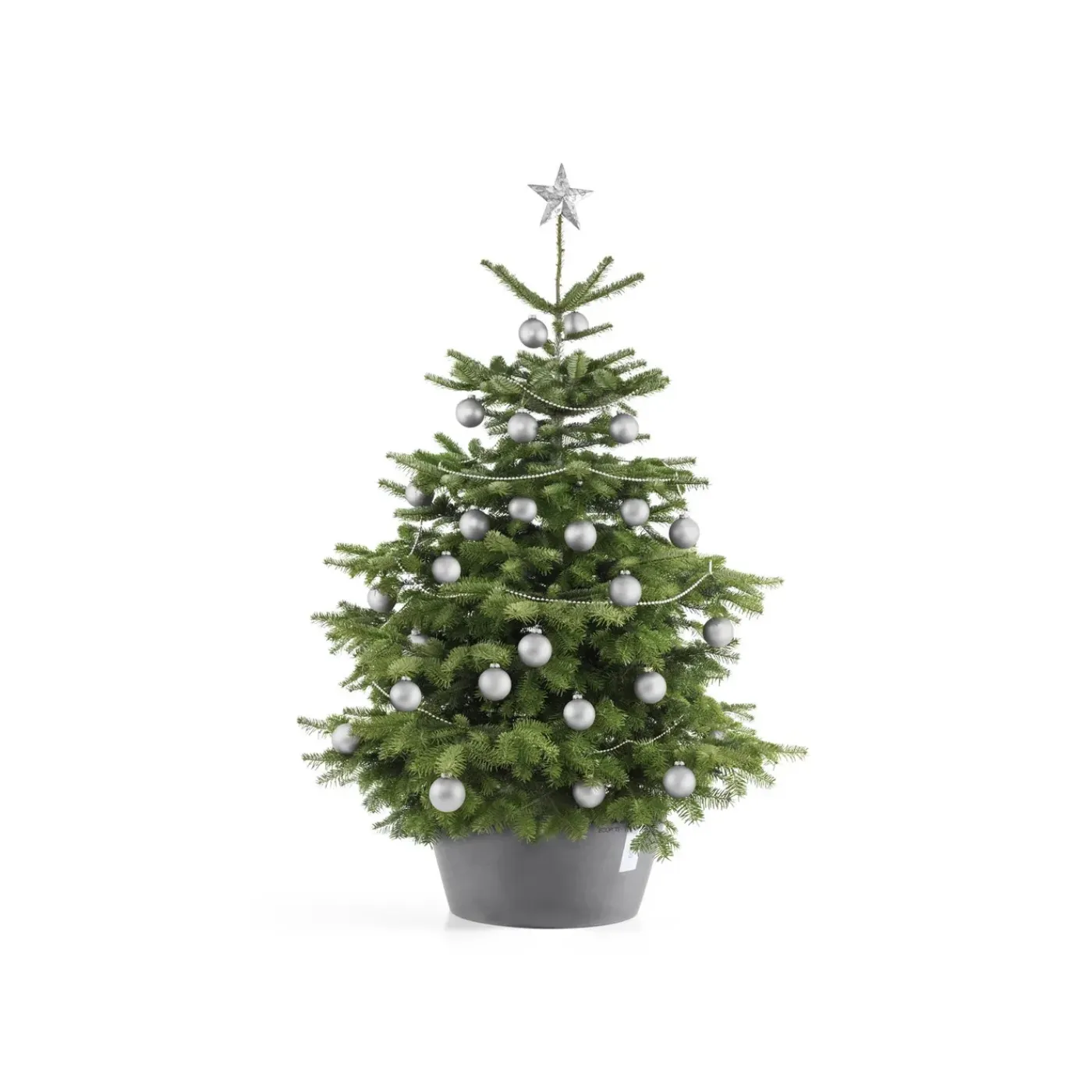 Ecopots Kerstboomvoet Xl - Grijs - Geschikt Voor Bomen Tot 300 Cm - Met Waterreservoir