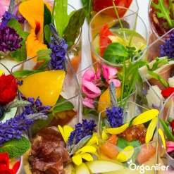 Eetbare Bloemen Zaden Pakket - 11 Soorten - Organifer