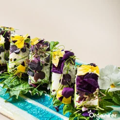 Eetbare Bloemen Zaden Pakket - 11 Soorten - Organifer