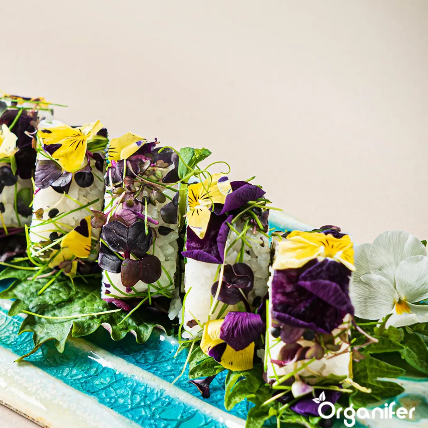 Eetbare Bloemen Zaden Pakket - 11 Soorten - Organifer