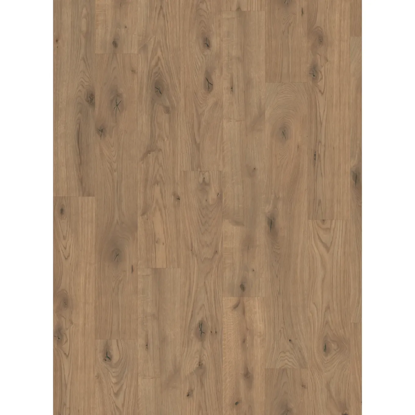 Egger Eco Vloer Aquadura+ Edf177 Almington Eiken Natuur 7,5mm, 1,995m²