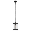 Eglo Buiten Hanglamp Alamonte 1 - Zwart - E27