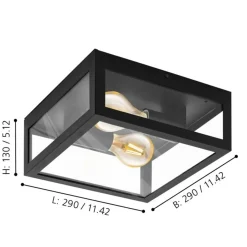 Eglo plafondlamp Alamonte 1 zwart 2xE27