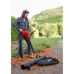 Einhell Bladblazer Gc-el 3000 E
