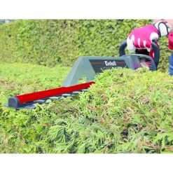 Einhell Heggenschaar Gc-eh 6055/1